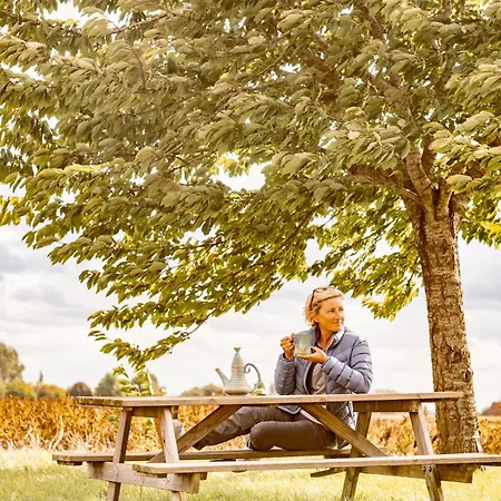 Nocleg ze śniadaniem Stefans Pottery 3*