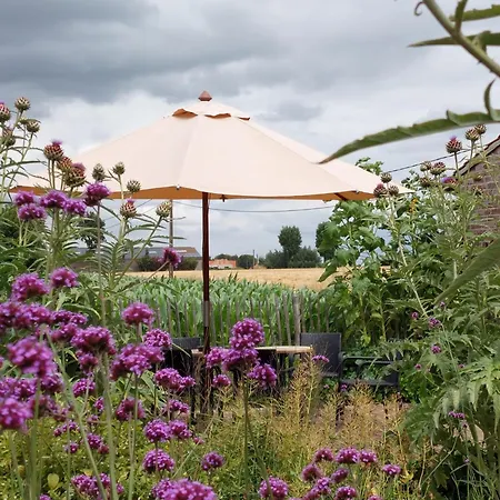 Stefans Pottery 3* Oost-Cappel