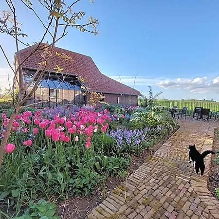 Stefans Pottery Oost-Cappel