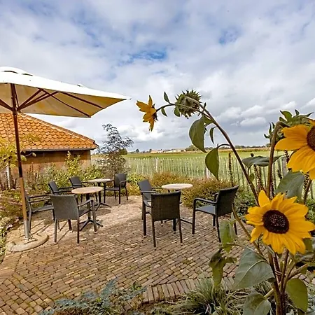 Stefans Pottery Bed & Breakfast 3*