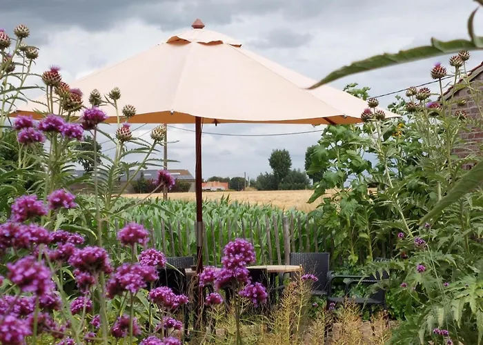 Stefans Pottery 3* Oost-Cappel